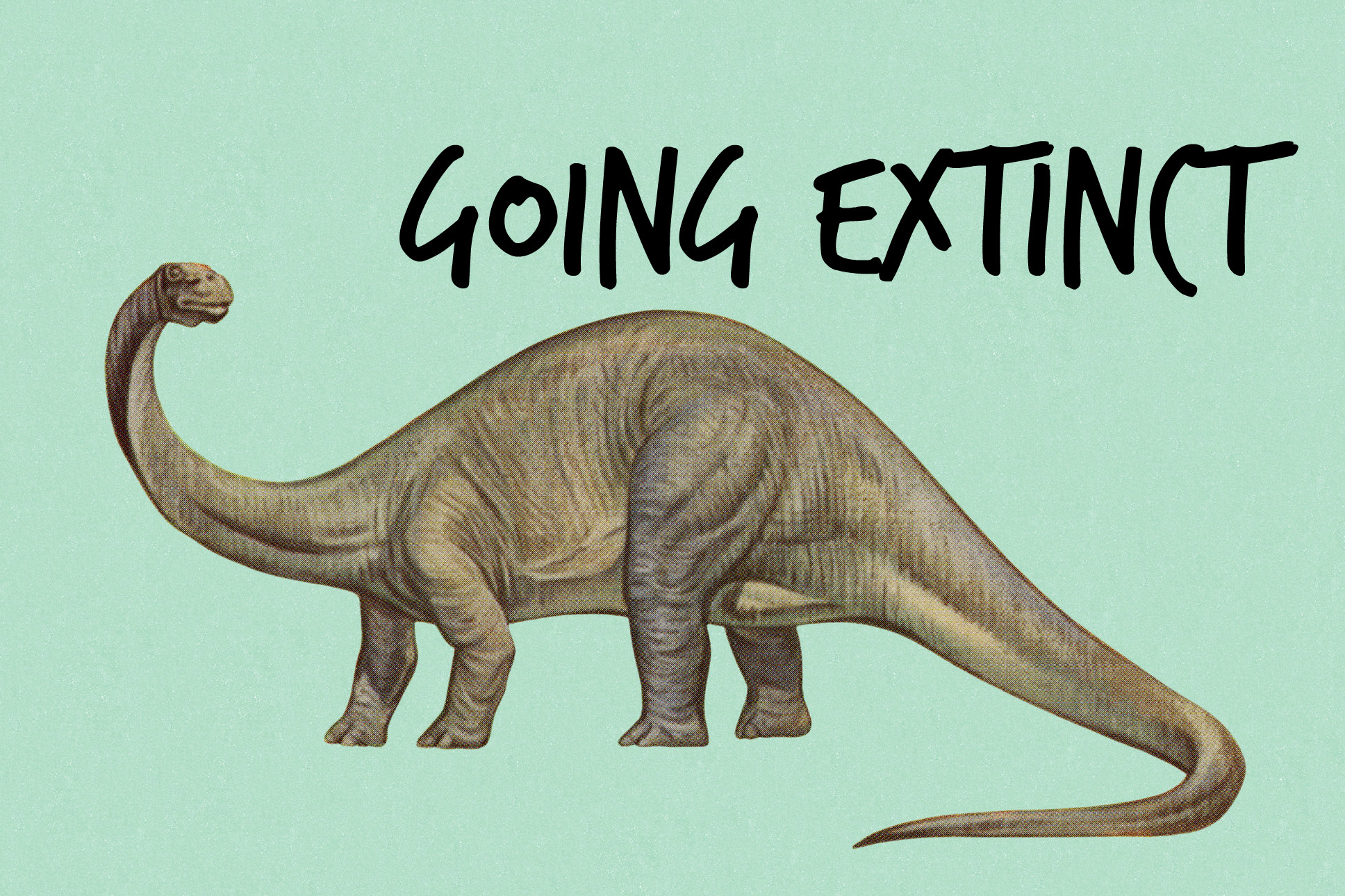 dinosaur