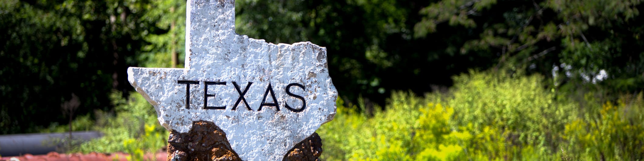 Texas shape sign