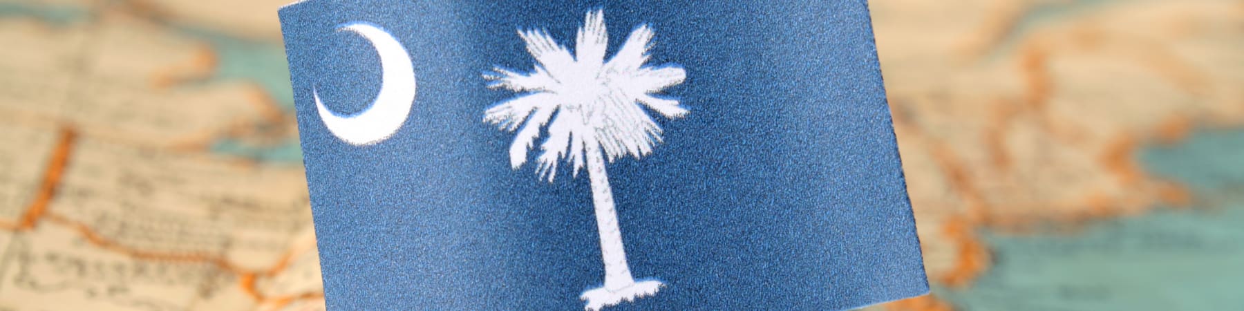 South Carolina flag