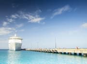 Cruises.com discounts a range of Bahamas cruises, with prices starting from $199 per person, as seen on Travelzoo. That yields a very low starting price for these tropical cruises in general