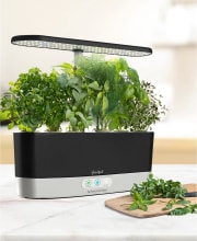 Goodful by AeroGarden Harvest Slim Countertop Garden & Gourmet Herbs Seed Kit for $76 + free shipping
