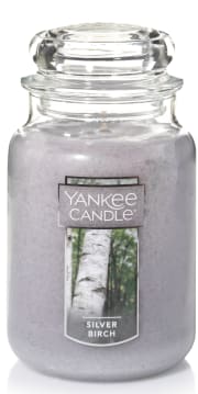 Walmart discounts a selection of Yankee Candle Jar Candles in several fragrances/sizes/designs (Silver Birch / Large jar pictured) with prices starting from $5.99, as below. Opt for in-store pickup, where possible, to avoid the $5.99 shipping charge