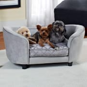 Enchanted Home Quicksilver Cat & Dog Medium Sofa Bed for $92 + free shipping