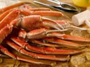Crab at Fulton Fish Market. Coupon code "CRABBY" bags savings on a variety of whole crabs, legs, and claws.