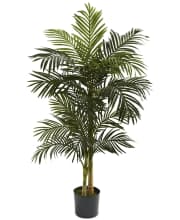 Nearly Natural 5-Foot Golden Cane Palm Tree. Save $7 over the next best price we found.