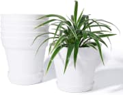 Potey 6" Plant Pot 6-Pack. Apply coupon code "24I4OSX7" to save $5.