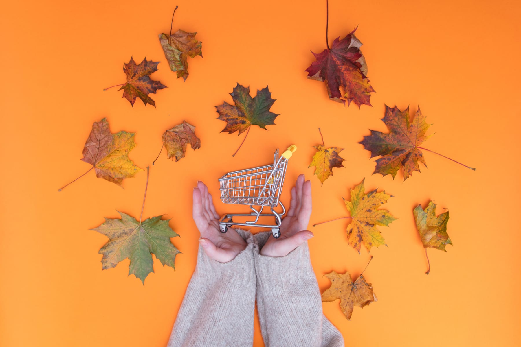 autumn leaves surround shopping cart