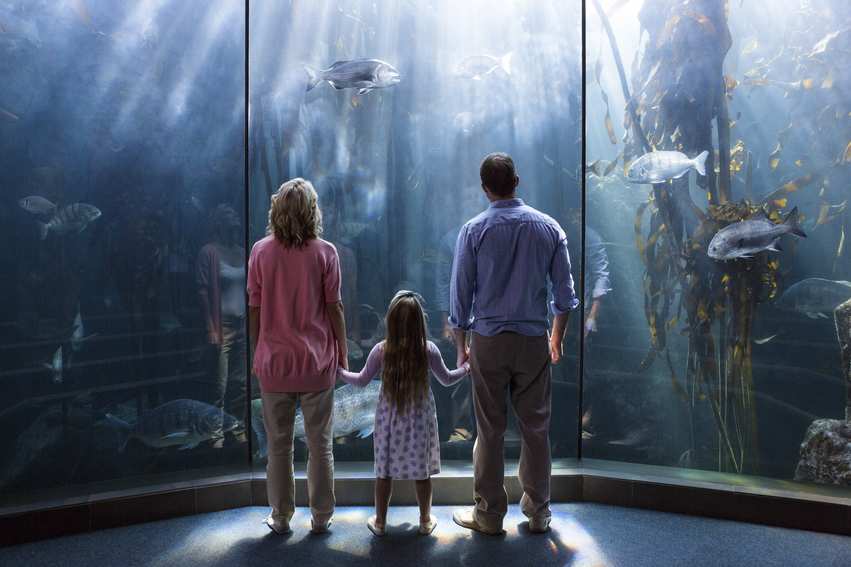 aquarium