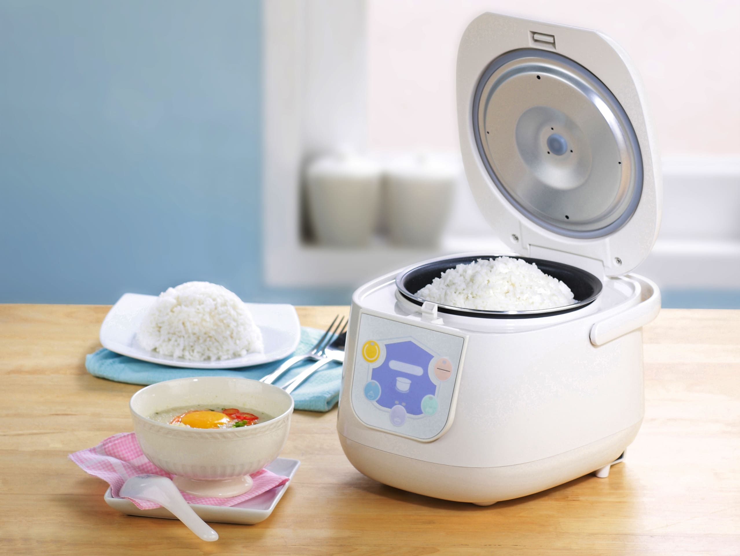 rice cooker
