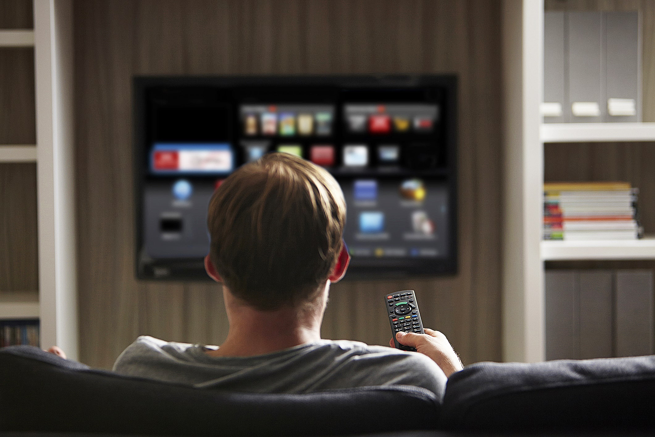 Vizio TV fines