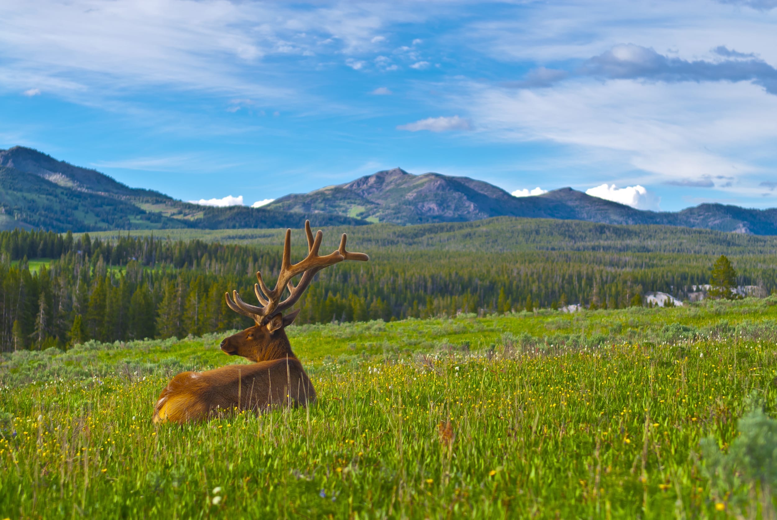 National Park Week