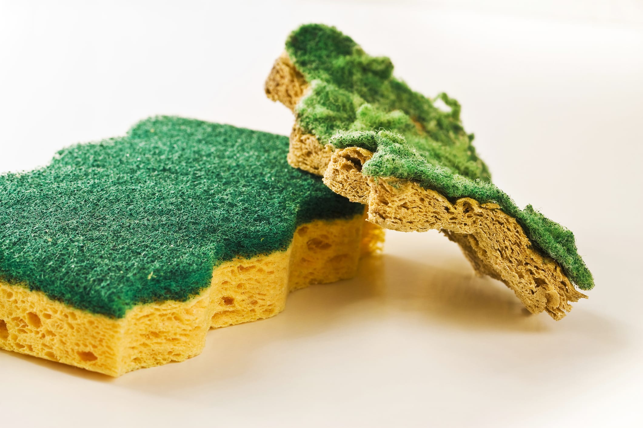 sponges