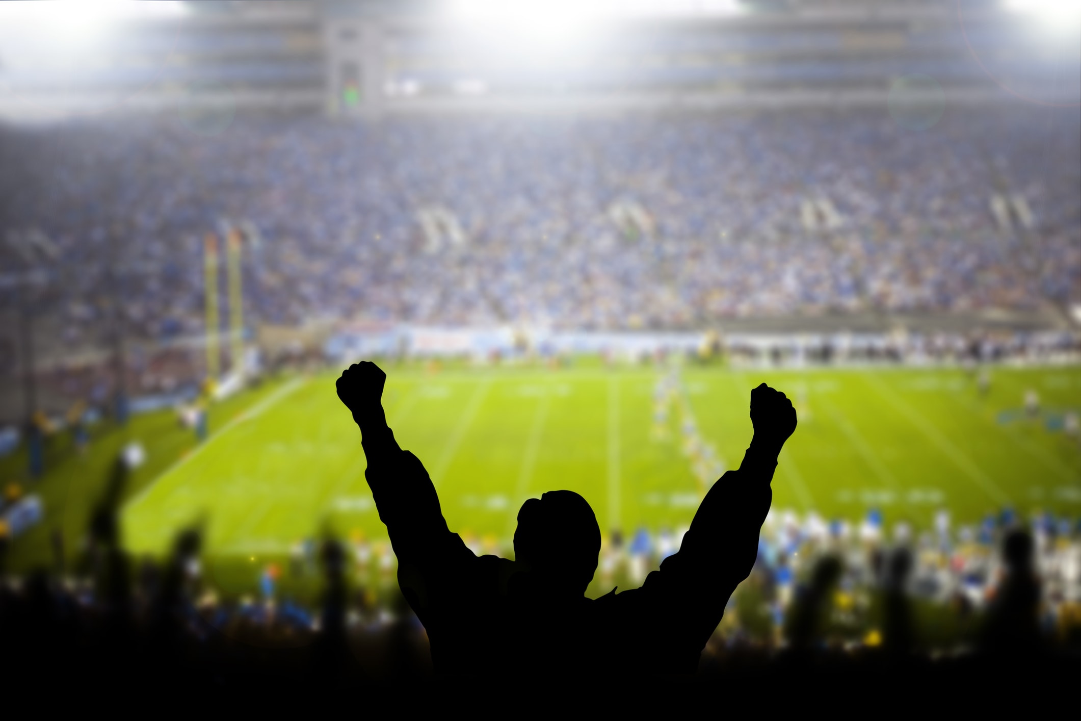 fan at football game