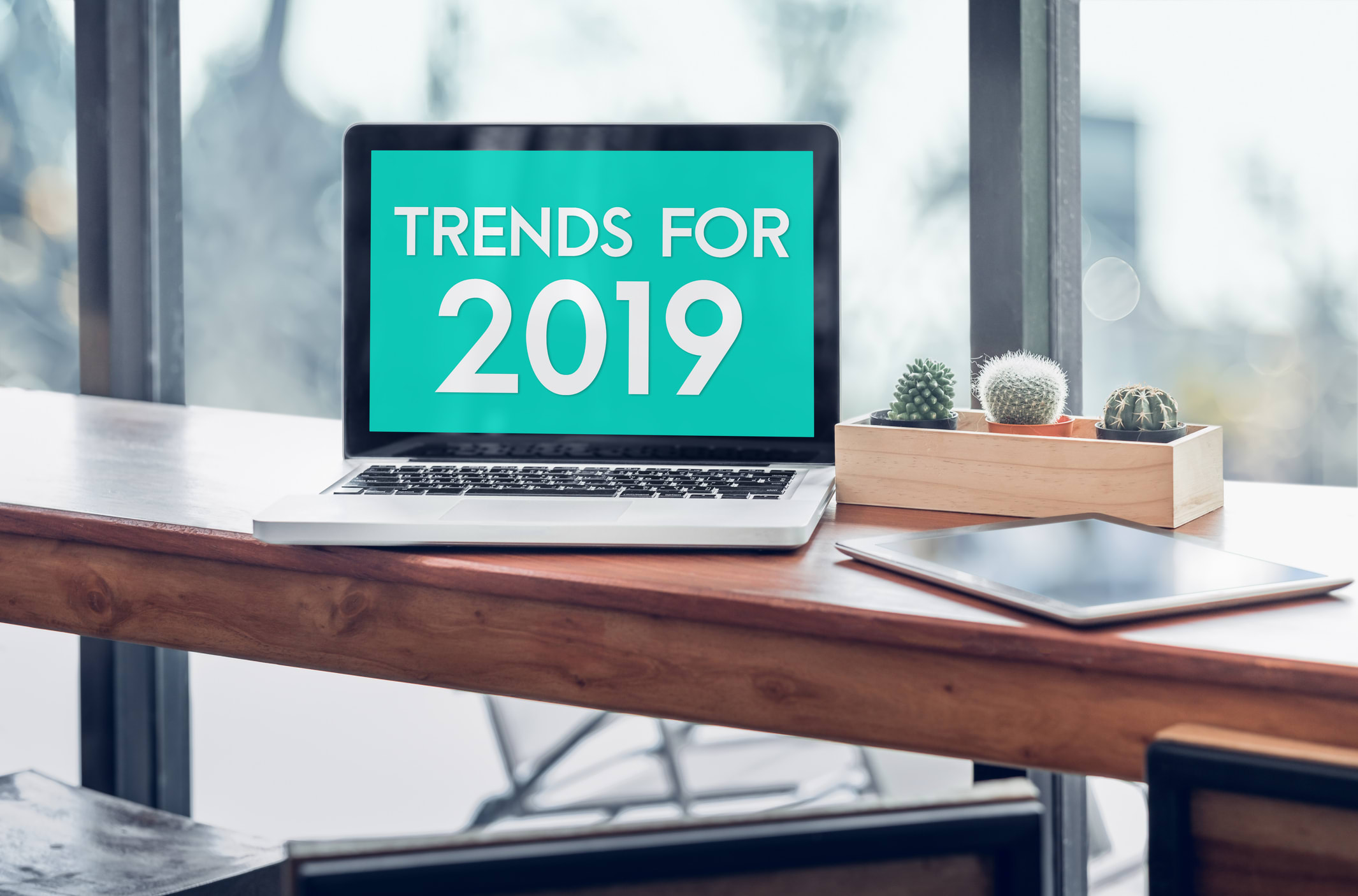 2019 trends