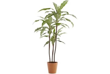 Back to School Home Depot Coupons: up to 50% off w/ Promo ...