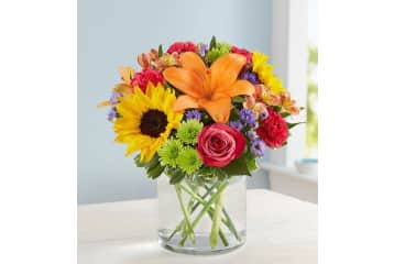 1 800 Flowers Coupon Free Shipping