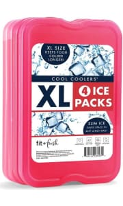 Fit & Fresh XL Cool Coolers Freezer Slim Ice Pack 4-Pack. You'd pay $16 for it shipped from Walmart.