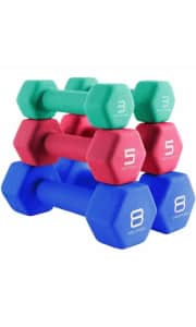 ProForm Neoprene Dumbbell Set. You'd pay over $50 for a similar set at Amazon or elsewhere.