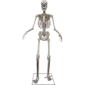 Seasonal Visions International 8-Foot Animated Towering Skeleton for $275