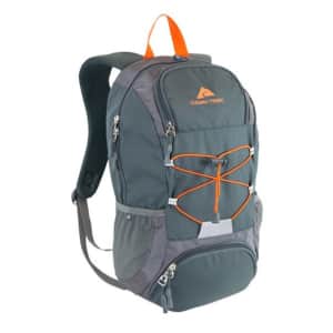 Ozark Trail 20L Thomas Hollow Backpack w/ Insulated Cooler Pocket for $10
