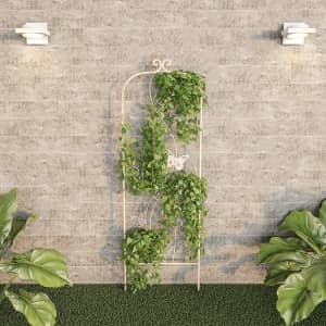 Pure Garden 46" Arched Trellis for $26 Pure Garden 46" Arched Trellis for $26