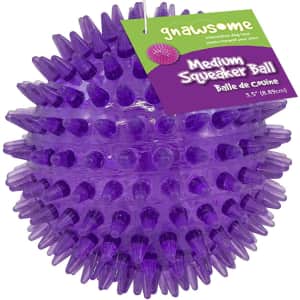 Gnawsome 3.5" Squeaker Ball Dog Toy for $3 Gnawsome 3.5" Squeaker Ball Dog Toy for $3