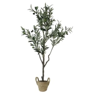 Sonoma Goods for Life Artificial Olive Tree w/ Basket for $47 for members