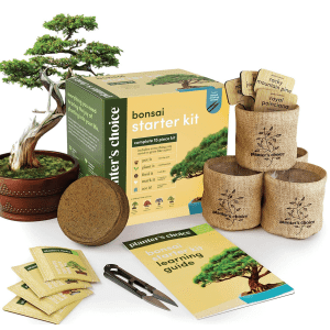 Planter's Choice Bonsai Starter Kit for $20