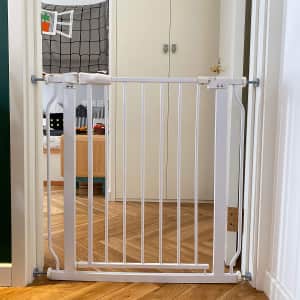 BalanceFrom Easy Walk-Thru Safety Gate for $20 BalanceFrom Easy Walk-Thru Safety Gate for $20