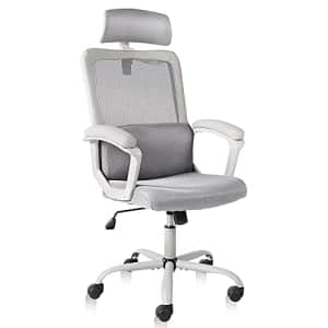 edx Office, Ergonomic Mesh Computer Desk, High Back Swivel Task Executive Chair Padding Armrests for $70
