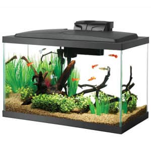 Aquarium Tanks at Petco: 50% off Aquarium Tanks at Petco: 50% off