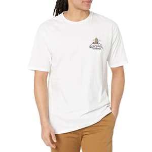Quiksilver Waterman Men's Rum Runner Qmt0 Tee Shirt, White, Small for $15