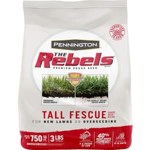 Pennington The Rebels 3-lbs.Tall Fescue Grass Seed Blend for $13 Pennington The Rebels 3-lbs.Tall Fescue Grass Seed Blend for $13