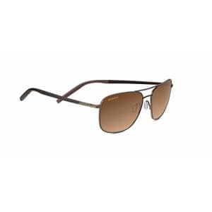 Serengeti Spello 8800 Sunglasses -Matte Espresso/Dk Brown with Drivers Gradient Lenses for $149 Serengeti Spello 8800 Sunglasses -Matte Espresso/Dk Brown with Drivers Gradient Lenses for $149