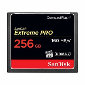 SanDisk Extreme Pro 256 GB CompactFlash for $173