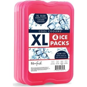 Fit & Fresh XL Cool Coolers Freezer Slim Ice Pack 4-Pack. You'd pay $16 for it shipped from Walmart.