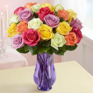 1-800-Flowers Two Dozen Assorted Roses: from $35