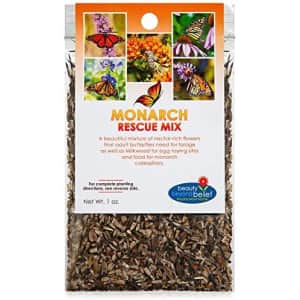 Beauty Beyond Belief Monarch Rescue Mix Wildflower Seeds for $8 Beauty Beyond Belief Monarch Rescue Mix Wildflower Seeds for $8