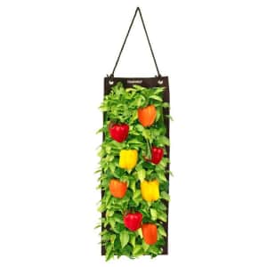 Touch of Eco Organic Hanging Pepper Growing Kit for $17