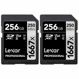 Lexar Professional SDHC/SDXC 1667x UHS-II 256gb Memory Card 2 Pack (LSD256CBNA1667) for $170