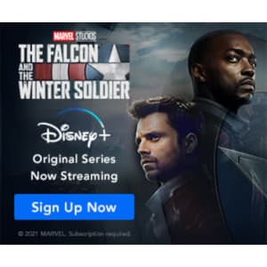 Disney+ 1-Year Subscription: $80 Disney+ 1-Year Subscription: $80