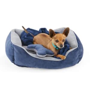 Dog Beds and Throws at Petco: Up to 50% off Dog Beds and Throws at Petco: Up to 50% off