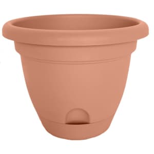 Outdoor Planters at Wayfair: under $25 Outdoor Planters at Wayfair: under $25