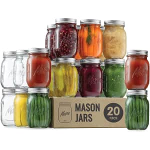 Paksh 16-oz. Mason Jar 20-Pack for $30