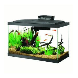 Open-Glass Tanks at Petco: 30% off