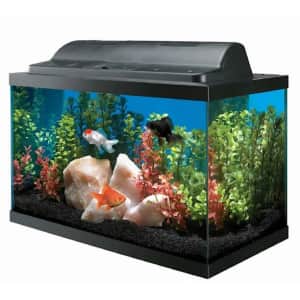 Aqueon Aquarium 10-Gallon Kit for $38 Aqueon Aquarium 10-Gallon Kit for $38