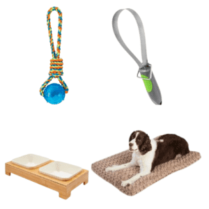 Toys, Leashes, Collars, and More at Chewy: Buy 2, Get 3rd free