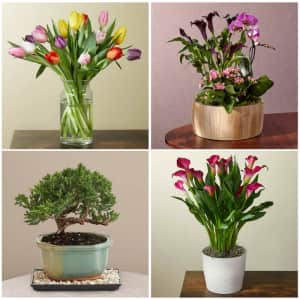 FTD Flowers at eBay: Up to 20% off