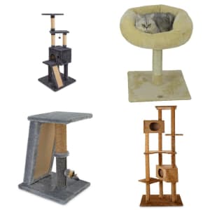 Cat Trees and Towers at Petco: Up to 70% off Cat Trees and Towers at Petco: Up to 70% off