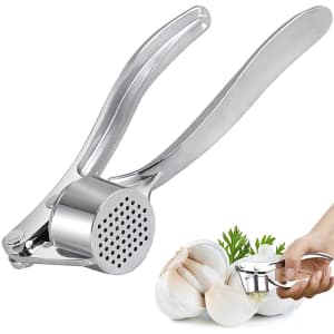 HOTM Stainless Steel Garlic Press for $4 HOTM Stainless Steel Garlic Press for $4